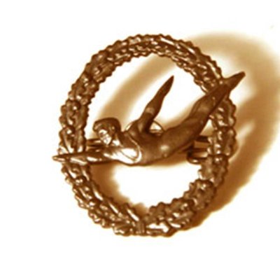 Simhopp brons är ett simhoppsmärke från Svensk Simidrott. För att erövra simmärket skall man hoppa från 3 meter.